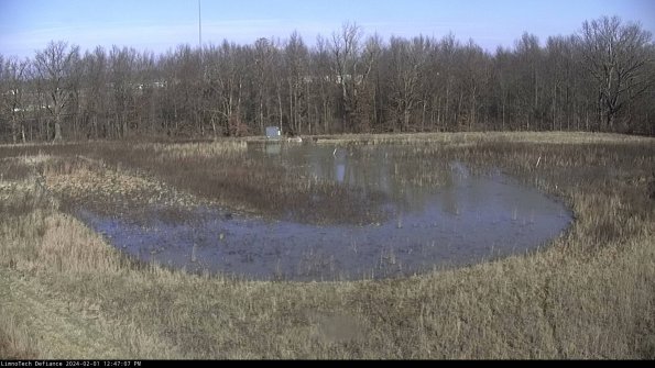 Cell 4_24-02-01_12-47-07-92