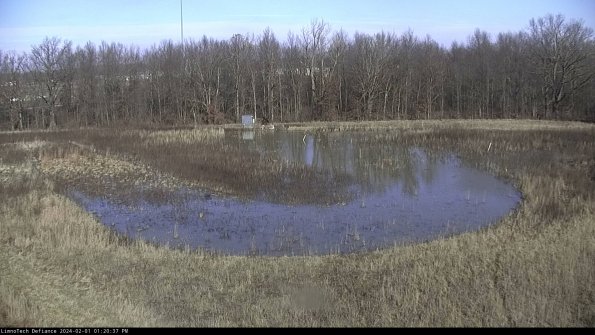 Cell 4_24-02-01_13-20-37-94