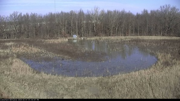 Cell 4_24-02-01_13-54-07-92