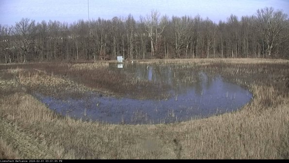 Cell 4_24-02-01_15-01-05-92