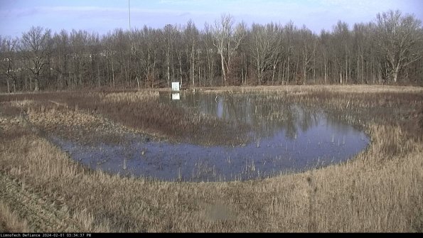 Cell 4_24-02-01_15-34-37-91