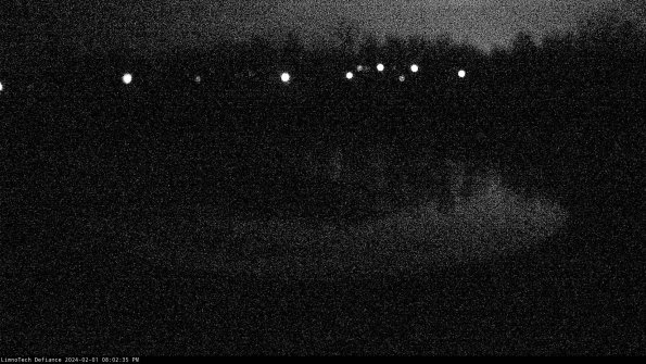 Cell 4_24-02-01_20-02-35-95