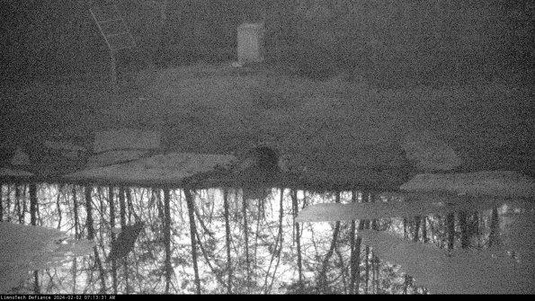 Basin Inflow_24-02-02_07-13-31-91