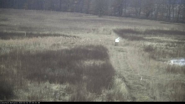 Cell 1 to 2_24-02-02_07-44-55-93