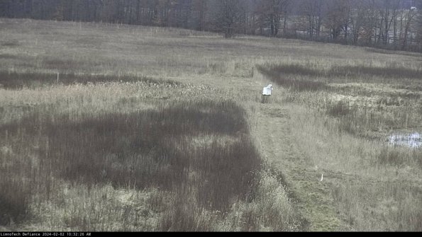 Cell 1 to 2_24-02-02_10-32-26-93