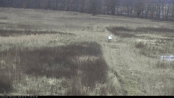 Cell 1 to 2_24-02-02_11-05-55-91