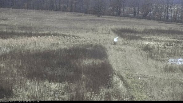 Cell 1 to 2_24-02-02_12-12-53-94