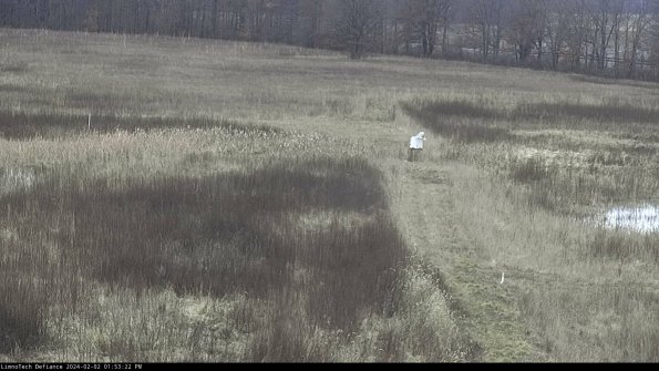 Cell 1 to 2_24-02-02_13-53-22-91