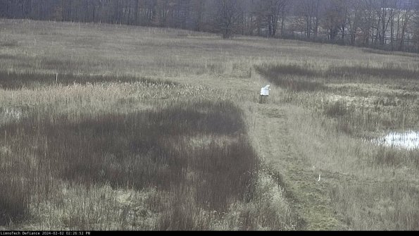 Cell 1 to 2_24-02-02_14-26-52-93