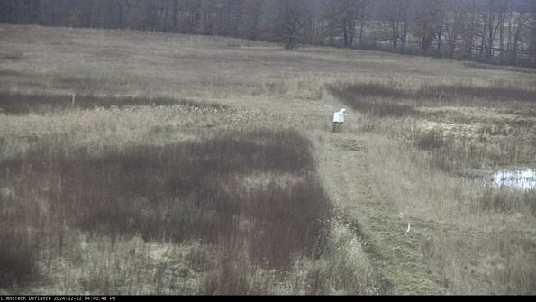 Cell 1 to 2_24-02-02_16-40-48-92