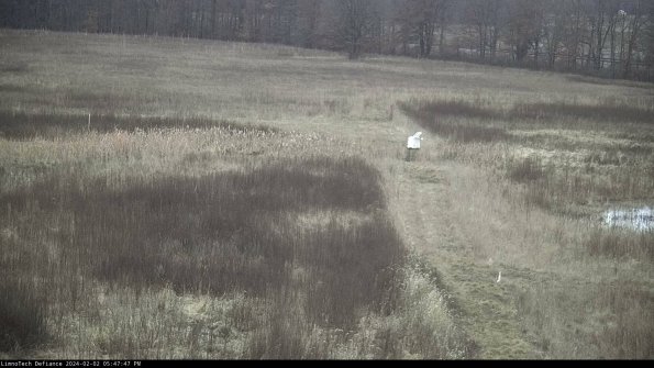 Cell 1 to 2_24-02-02_17-47-47-91