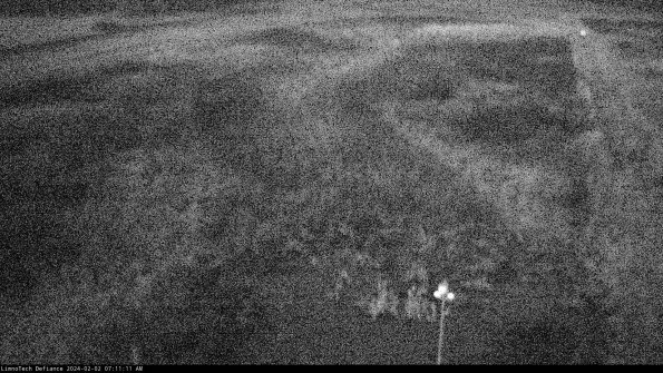 Cell 1_24-02-02_07-11-11-90