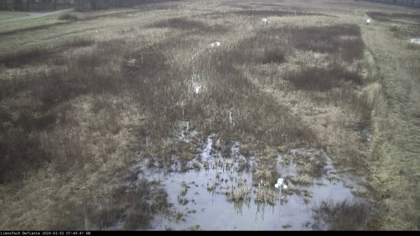 Cell 1_24-02-02_07-44-41-91