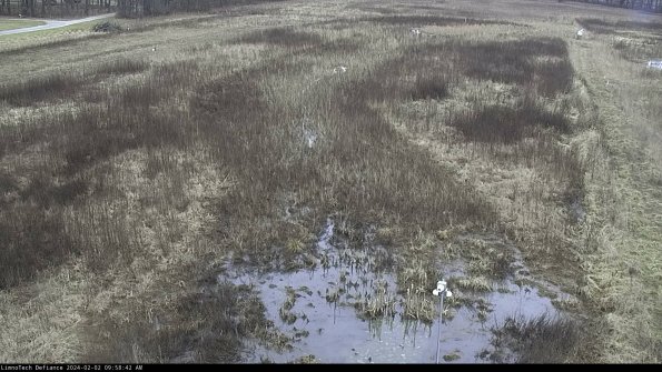 Cell 1_24-02-02_09-58-42-94