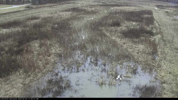 Cell 1_24-02-02_11-05-41-93