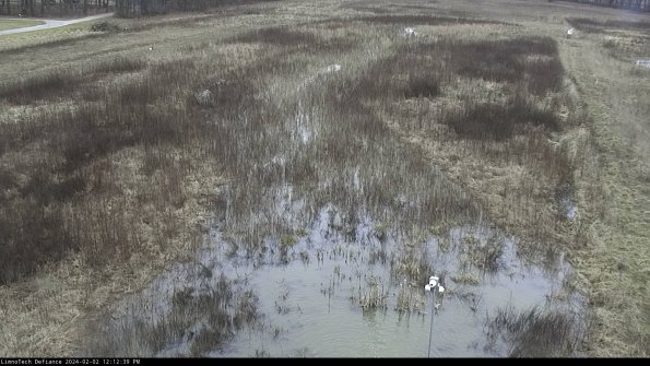 Cell 1_24-02-02_12-12-39-92