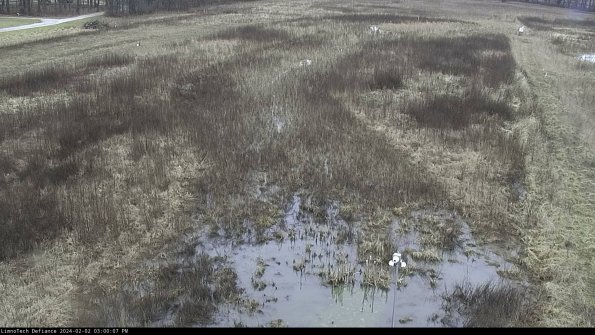 Cell 1_24-02-02_15-00-07-93