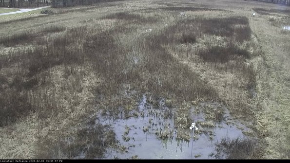 Cell 1_24-02-02_15-33-37-91