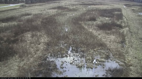 Cell 1_24-02-02_17-14-03-95