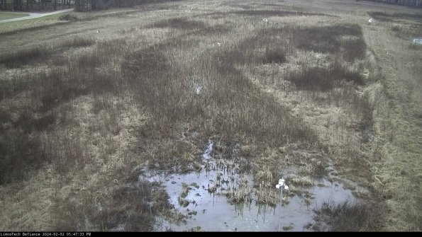 Cell 1_24-02-02_17-47-33-93