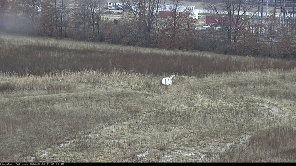 Cell 2 to 3_24-02-02_11-06-22-00