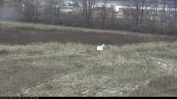 Cell 2 to 3_24-02-02_12-46-49-08