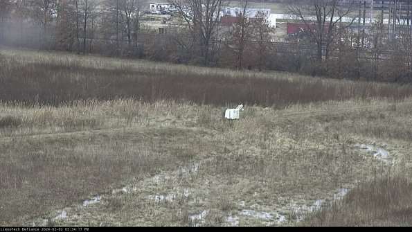 Cell 2 to 3_24-02-02_15-34-18-02