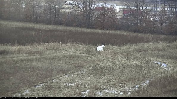 Cell 2 to 3_24-02-02_17-14-43-95