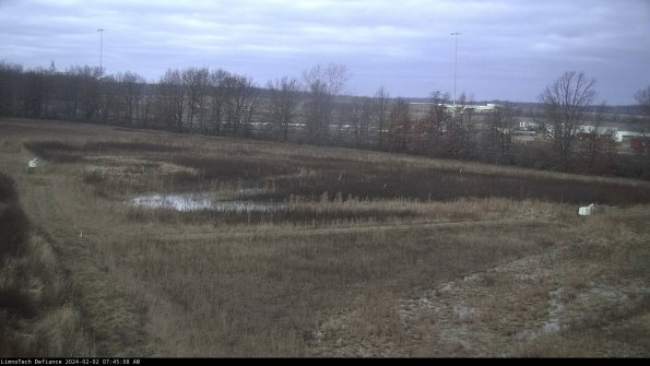 Cell 2_24-02-02_07-45-08-94