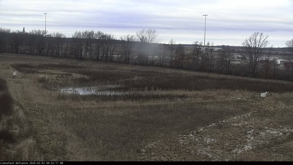 Cell 2_24-02-02_08-52-11-94