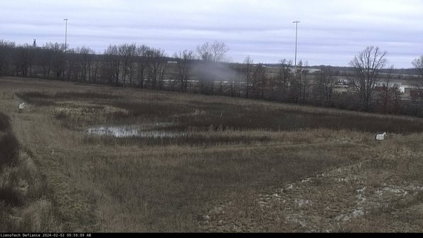 Cell 2_24-02-02_09-59-09-93