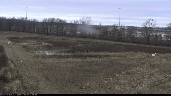 Cell 2_24-02-02_11-06-08-96