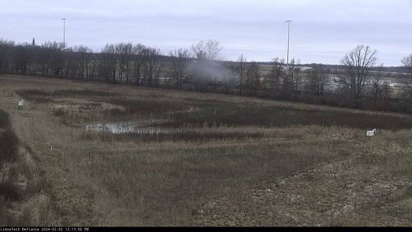 Cell 2_24-02-02_12-13-07-05