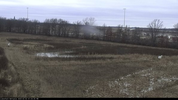 Cell 2_24-02-02_13-53-35-96