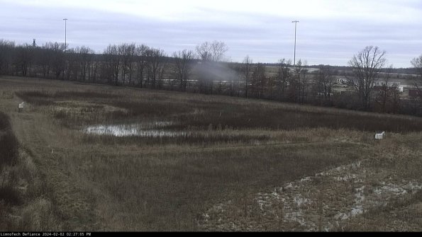 Cell 2_24-02-02_14-27-05-94