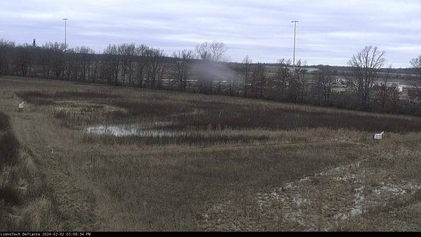 Cell 2_24-02-02_15-00-34-96