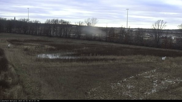 Cell 2_24-02-02_16-41-02-00