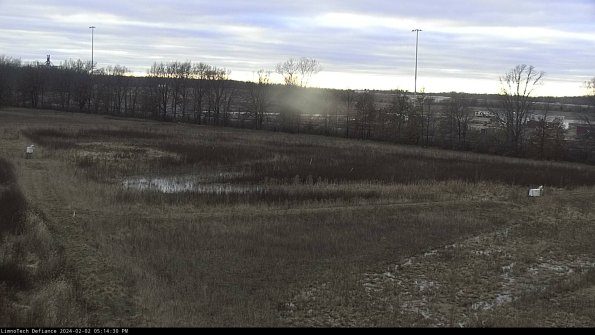 Cell 2_24-02-02_17-14-30-98