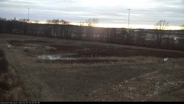 Cell 2_24-02-02_17-48-00-96