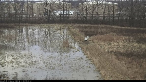 Cell 3 to 4_24-02-02_08-19-23-93