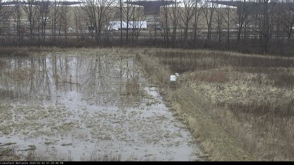 Cell 3 to 4_24-02-02_13-20-48-92