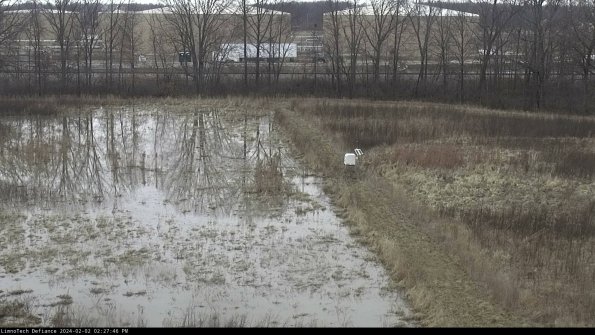 Cell 3 to 4_24-02-02_14-27-46-91