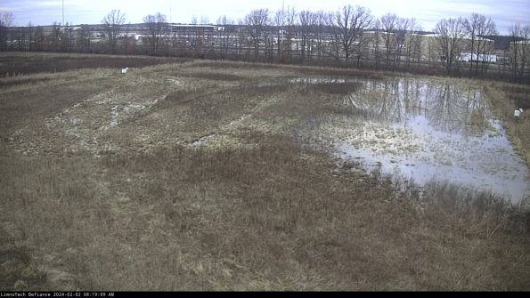 Cell 3_24-02-02_08-19-09-92