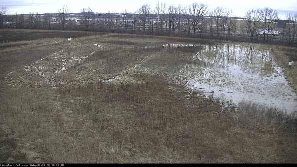 Cell 3_24-02-02_08-52-39-93