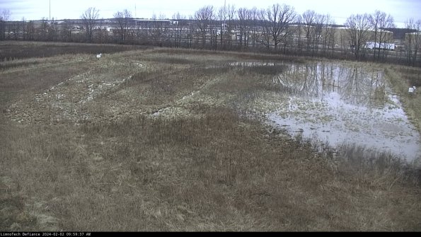 Cell 3_24-02-02_09-59-37-96