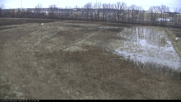 Cell 3_24-02-02_12-13-34-91