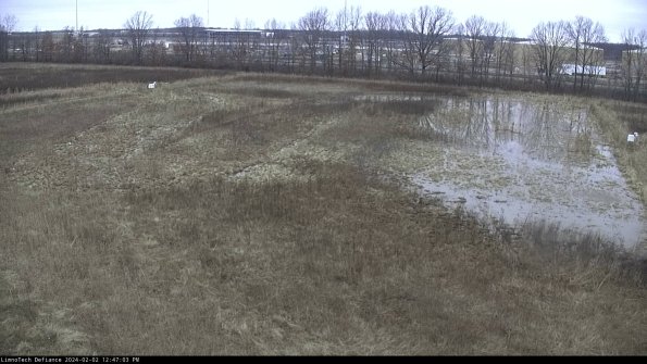 Cell 3_24-02-02_12-47-03-93