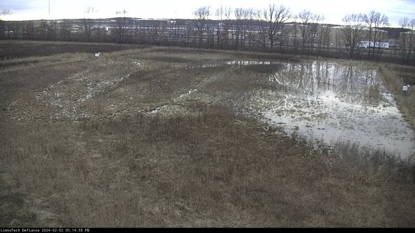 Cell 3_24-02-02_17-14-58-94