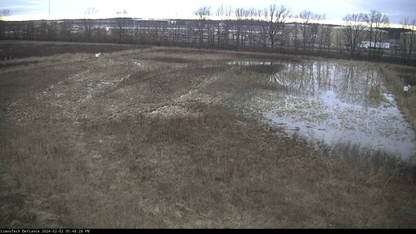 Cell 3_24-02-02_17-48-28-92