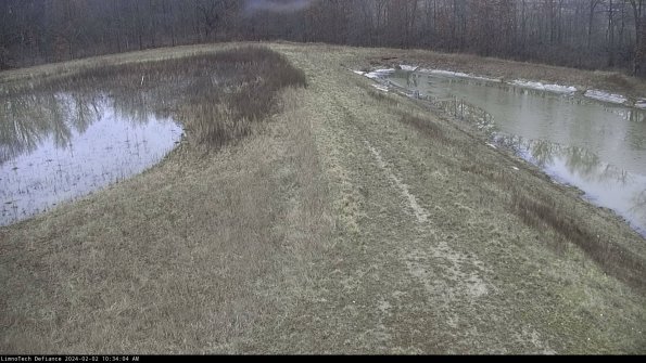 Cell 4 to Basin_24-02-02_10-34-04-93